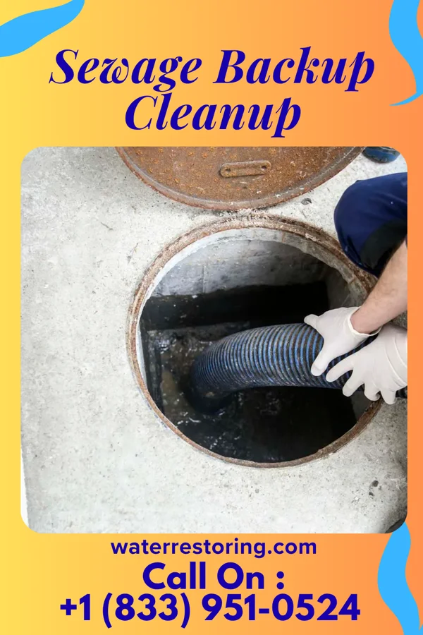 Sewage Backup Cleanup in Westchester, IL